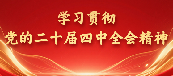 學(xué)習(xí)貫徹黨的二十屆四中全會精神